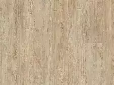 Royce дуб синай