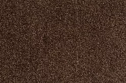 Luke 832