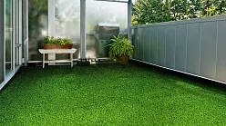 Сricket Grass