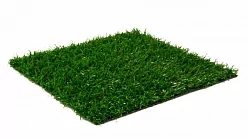 SoftGrass